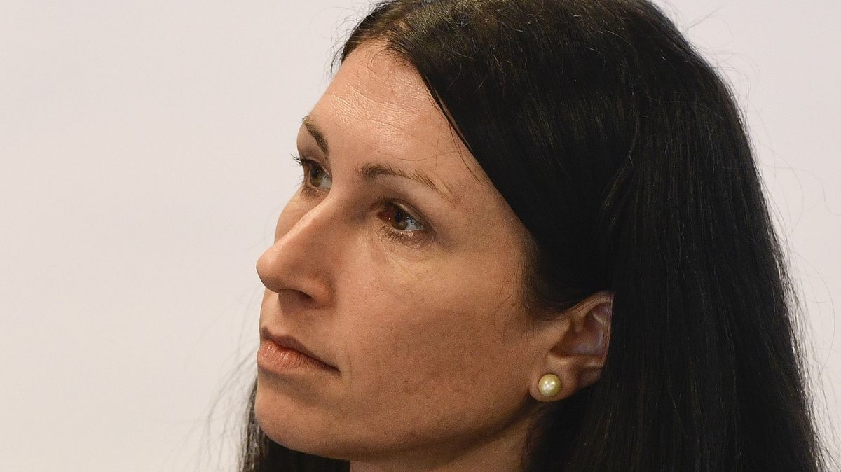 Premiér chce zřídit pro duševní zdraví, vrátit by se měla Dita Protopopová